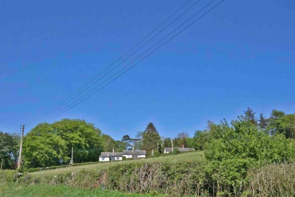 Hilltop Cottage Thropton 외부 사진